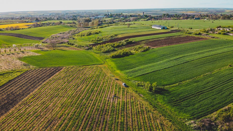 Aerial view of lush green fields in Săcueni, Romania, showcasing vibrant rural landscapes.